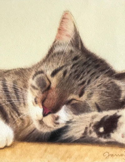 Pastel painting of sleeping tabby cat
